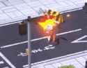 roadkill