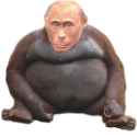 Le_monke