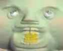 37437489.20000005_cca80e27a6fba84fb2db9827579aa787