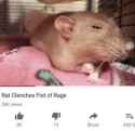 F9U7gDWbMAAJ6iM