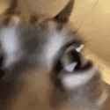 1749246429639379