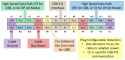 USBTypeCPinOutDiagram