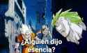 spic meme