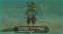 Link-wearing-female-Gerudo-clothing-in-a-screenshot-from-Breath-of-the-Wild-Nintendo