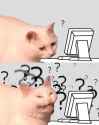 1737155155325773