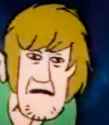 shaggy