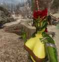 enb2025_7_1_17_37_25