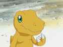 Thinking Agumon