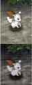 1674463267860948