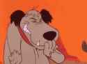 snicker-muttley[1]