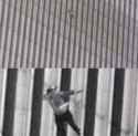 ninelevendab