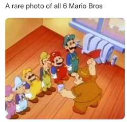 113 KB