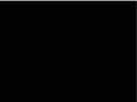 1.59 MB
