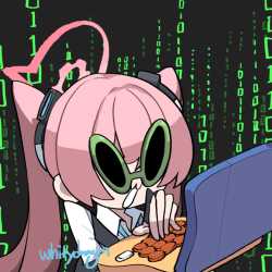 246 KB