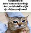 124 KB