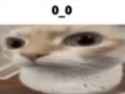 31 KB