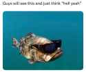 726 KB