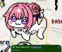 219 KB