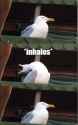 121 KB