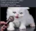 88 KB