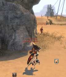 2.3 MB