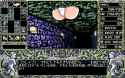 142 KB