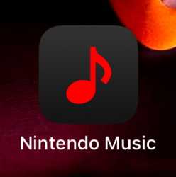19 KB