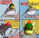 101 KB