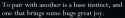 19 KB
