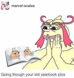 95 KB