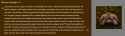 270 KB