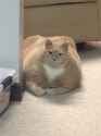 135 KB