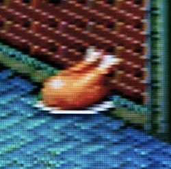 453 KB