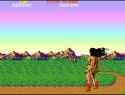 223 KB