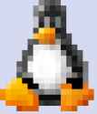 21 KB