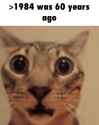 173 KB