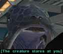 224 KB