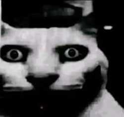 46 KB