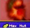 9 KB