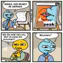 243 KB