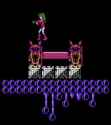 21 KB