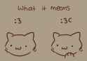 17 KB