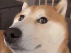 287 KB