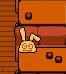22 KB