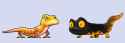 lizards.png