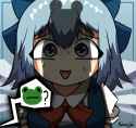 cirno-when-frog-v0-hwt038w3nhwb1.png