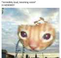 55 KB