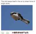 137 KB