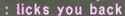 46 KB