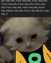 75 KB